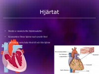 /album/hjart-och-karlsystemet/a6-hja%cc%88rt-och-ka%cc%88rlsystemet-008-jpeg/